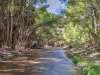 Aravaipa Canyon