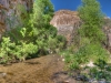 Aravaipa Canyon