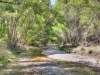 Aravaipa Canyon